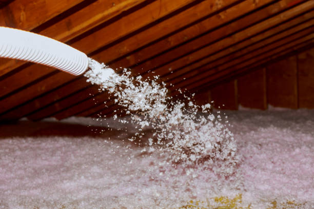 Best Energy-efficient Insulation  in Avon, PA