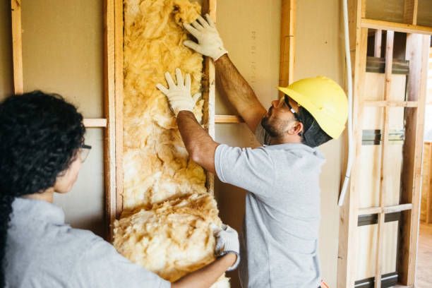 Best Insulation Inspection Services  in Avon, PA