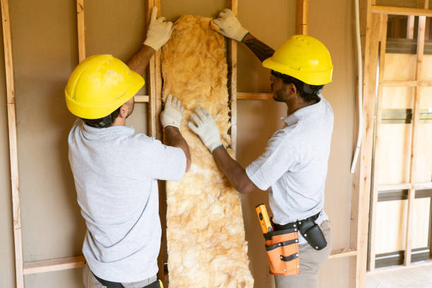 Best Insulation Repair Services  in Avon, PA
